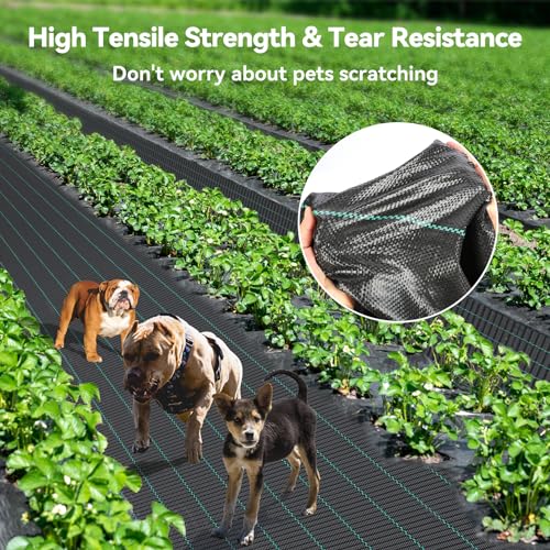 iropro 3ftx300ft Weed Barrier Fabric 3.2oz Landscape Fabric Heavy Duty, Woven Weed Control Cloth, Woven Weed Fabric for Underlayment, Gardening Ground, Commercial Driveway Weed Block Cover Mat - size: 3ft x300ft