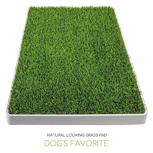 SunTurf Dog Grass Pad with Tray, Dog Litter Box, Porch Potty for Puppy Pee Training, Indoor Portable Fake Grass Pee Pad System, Artificial Grass + Pee Pad Holder