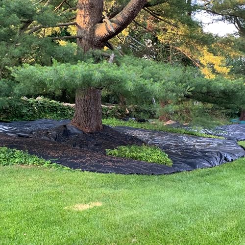 Dewitt Pro-5 Weed Barrier Fabric 5 oz, 6 x 250 Feet – Heavy-Duty Woven Landscape Ground Cover Mat for Raised Garden Bed, Greenhouse Gardening, Outdoor Landscaping, and Commercial Planting - size: 1 Pack, style: 6' x 250'