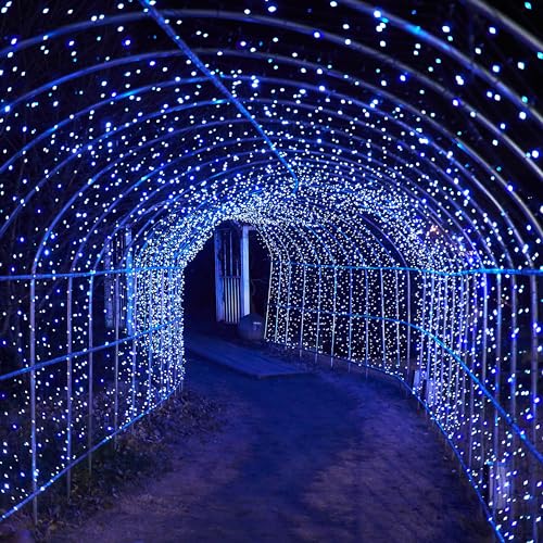 Solar String Lights for Outside, 39Ft 100 LED Solar String Lights Outdoor with 8 Modes，Solar Lights for Outside Waterproof for Yard, Fence,Balcony, Party,Christmas Tree Decorations (Blue&White) - color: Blue&White, size: 1 Pack 100 LED