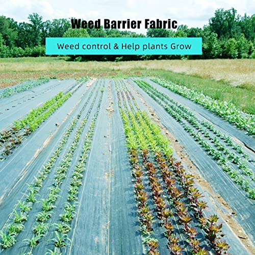 Broadfashion 4ft x 250ft Premium Weed Barrier Landscape Fabric, 5oz Heavy Duty, Weed Control Fabric, High Permeability Good for Flower Bed, Driveway Fabric Ground Cover - size: 4ft x 250ft & 5 oz