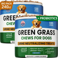 PAWFECTCHEW Green Grass Dog Chews with Probiotics – Lawn Burn Support – Dog Urine Neutralizer for Grass – Pee Spot Control – Gut & Urinary Health – 240Ct - size: 240Ct