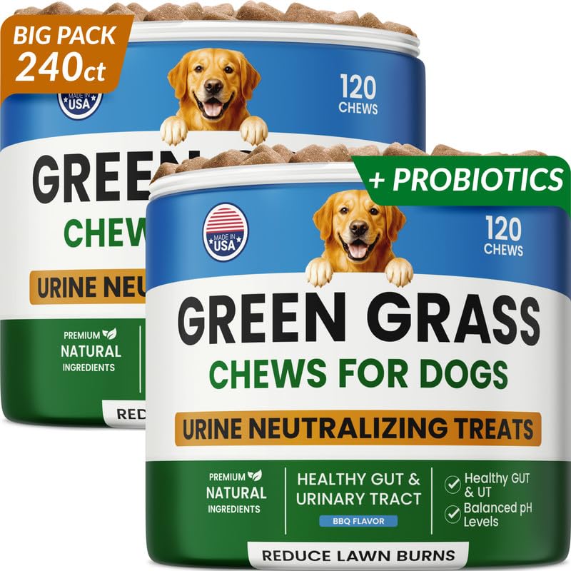 PAWFECTCHEW Green Grass Dog Chews with Probiotics – Lawn Burn Support – Dog Urine Neutralizer for Grass – Pee Spot Control – Gut & Urinary Health – 240Ct - size: 240Ct