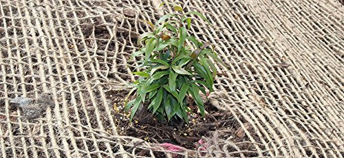 AK-Trading Jute Erosion Control, Soil Saver Mesh Blanket - 48" Wide x 1 Yard (3 feet Long) - 12 Sq. Ft. Coverage - size: 1 Yard
