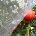Ultra Fine Garden Netting 4'x10' Plant Pest Barrier Covers Bird Patio Mosquito Netting Tree Vegetable Mesh Protection Netting Fruit Greenhouse Row Nets for Garden - size: 4'x10'