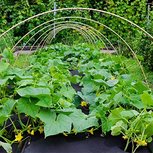 UWIOFF 4ft x 50ft Garden Weed Barrier Landscape Fabric, Durable & Heavy Duty Ground Cover Weed Blocker Fabric Gardening Mat, Superior Weed Control for Vegetable Garden, Flower Bed, Mulch - size: 4ft X 50ft