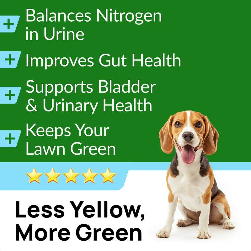 PAWFECTCHEW Green Grass Dog Chews with Probiotics – Lawn Burn Support – Dog Urine Neutralizer for Grass – Pee Spot Control – Gut & Urinary Health – 240Ct - size: 240Ct