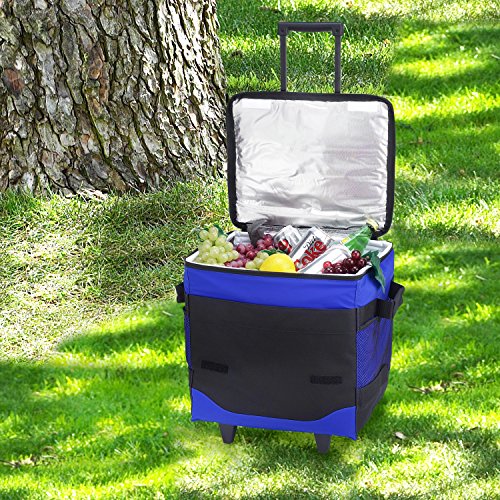 Picnic at Ascot Original 60 Can Collapsible Insulated Rolling Cooler- Designed & Quality Approved in the USA - color: Royal Blue