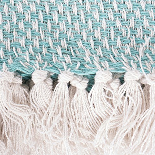 DII 100% Cotton Basket Weave Throw for Indoor/Outdoor Use Camping Bbq's Beaches Everyday Blanket, 50 x 60, Woven Stripe - color: Aqua, size: 50x60"
