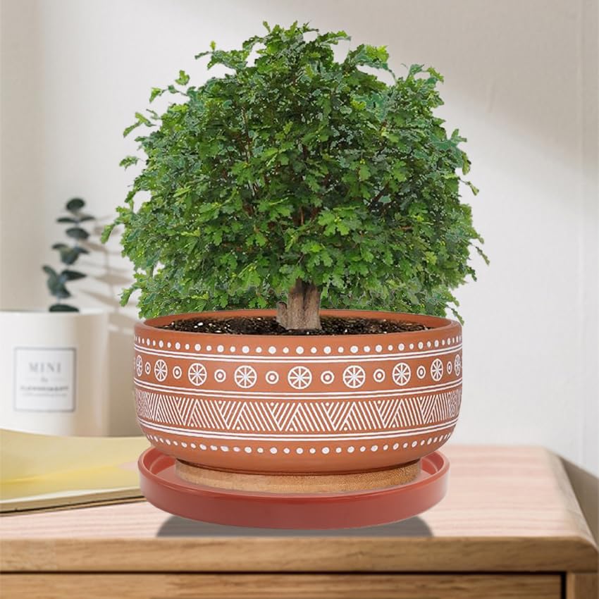 Yukfona Ceramic Plant Saucer Pot Tray 8.5 Inch, Planter Saucers 6 7 8 9 10 11 12 15 Inch, Durable Sturdy Flower Drainage drip Water Tray for Glazed Pots Base (8.5 Inch- Red Terracotta) - color: Terracotta, size: 8.5in 1pack