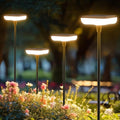 Solar Lights Outdoor Pathway 8 Pack IP65 Waterproof 31" Solar Garden Lights 2 Heights Adjustable Auto On/Off Lasting 12H for Walkway Patio Lawn Path Yard Plants Flower Beds Landscape Decor - size: 8 Pack