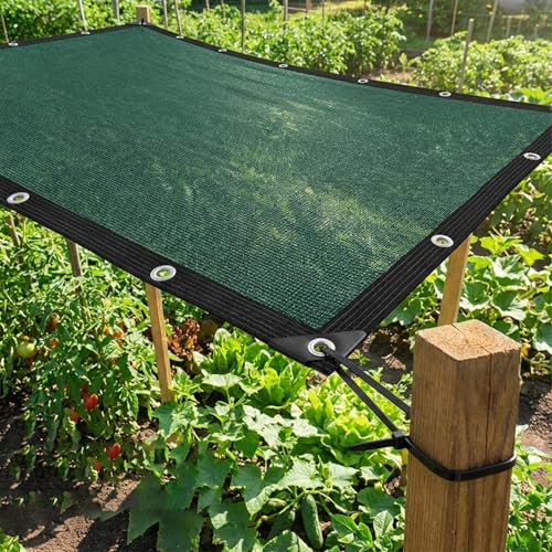 80% Shade Cloth-Durable UV Blocking Mesh Tarp for Garden,Patio,Greenhouse & Chicken Coop-Sun Shade Cover with Grommets for Plants,Dog Kennel,Outdoor Use[Green 3×10FT] - size: 3×10FT