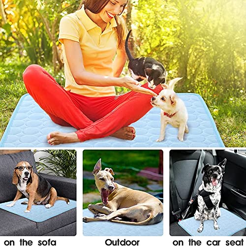 OUKEYI Cooling Mat Pad for Dogs Cats Ice Silk Mat Cooling Blanket Cushion for Kennel/Sofa/Bed/Floor/Car Seats Cooling for Outdoor or Home (Dog Cooling mat- 28 X 22inBlue)