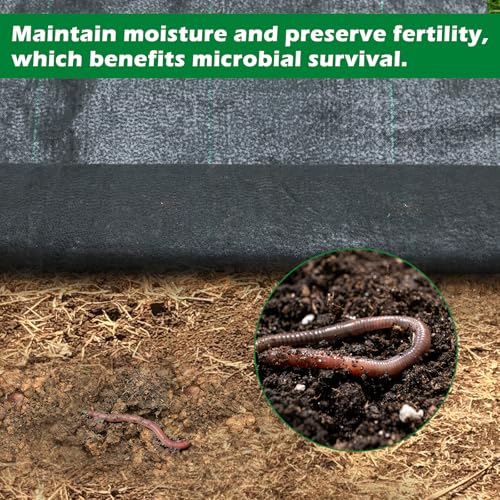 WAENLIR 5.8oz 6FT x 100FT Heavy Duty Landscape Fabric Weed Barrier Premium Woven Ground Cover Roll, UV Resistant&Tear-Proof, Ideal for Garden Beds, Walkways, Patios, Greenhouses, Outdoor Landscaping - size: 5.8oz 6ft x 100ft