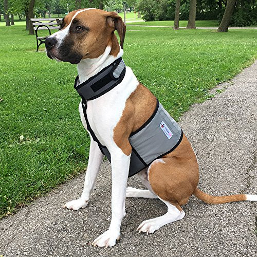 CoolerDog Dog Cooling Vest & Cooling Collar – Ice Vest for Hot Weather Heat Relief, Re-Freezable Pure Water Inserts (Medium 22”–27” Girth) - size: M