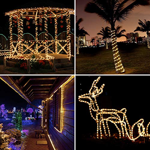 LE 33ft 240 LED Rope Lights Outdoor 24 Volts, 3/8 inch Clear Tube, Upgraded 2700K Warm White, Connectable (Up to 3 Sets), Not Dimmable, Waterproof String Lights for Patio Deck Railing Stair Landscape - color: Warm White