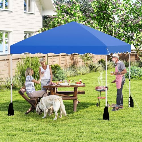 Tangkula 10x10 FT Pop Up Canopy, UPF50+ Easy Set up Instant Tent with Wheeled Bag, 8 Stakes, 4 Anchors, 4 Wind Ropes, 4 Sandbags, Heavy Duty Outdoor Canopy Tent 10x10 for Patio Party Backyard (Blue) - color: Blue, size: 10x10 FT