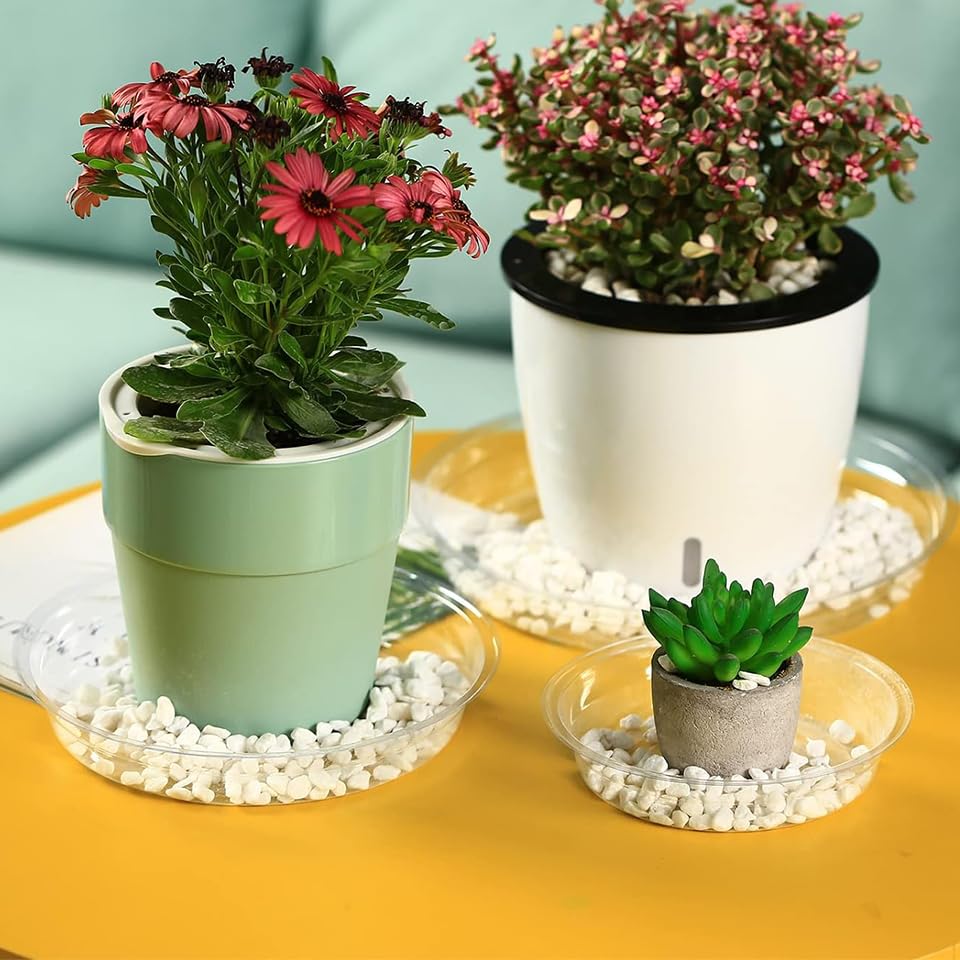 30 Packs 16" Extra-Large Clear Plant Saucers for Indoor Outdoor Use Heavy Duty Plastic Plant Trays for Planter Bulk Flower Pot Drip Trays to Catch Water, 4 to 20 Inch - size: 16 inches