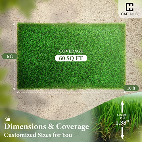 CAPHAUS 72 X 120 Inches Artificial Turf Grass Indoor/Outdoor, Faux Grass Decor, Grass Pad Mat for Pet Dogs, Potty Training with Drainage, Realistic Fake Grass Rugs for Garden, Lawn, Patio, Balcony - size: 60 SQ.FT