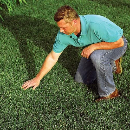 EZ Straw Seeding Mulch with Tack - Biodegradable Processed Straw, 1 cu. ft. Bale (Covers 250 sq. ft.) - size: 1 CU FT BALE