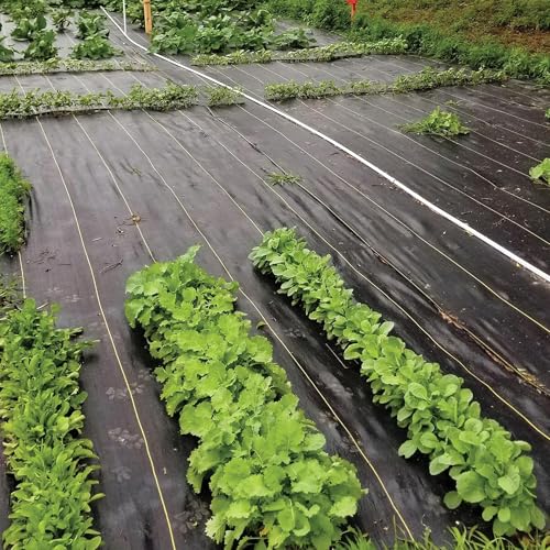 Dewitt Pro-5 Weed Barrier Fabric 5 oz, 6 x 250 Feet – Heavy-Duty Woven Landscape Ground Cover Mat for Raised Garden Bed, Greenhouse Gardening, Outdoor Landscaping, and Commercial Planting - size: 1 Pack, style: 6' x 250'