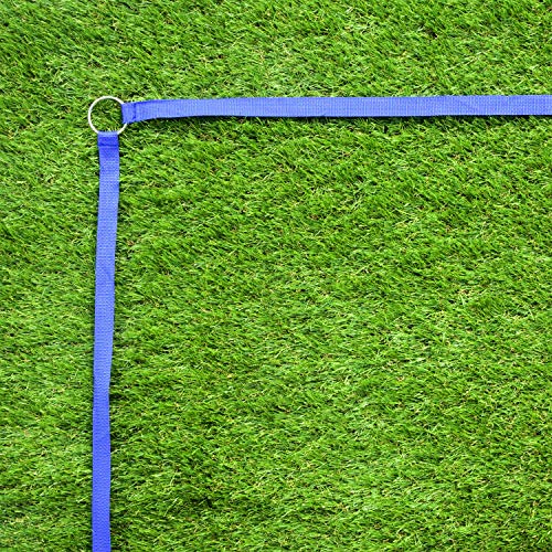 Park & Sun Sports Outdoor Volleyball Boundary Webbing with Ground Stakes - color: Blue, size: 1" Boundary Marker, style: Adjustable Court