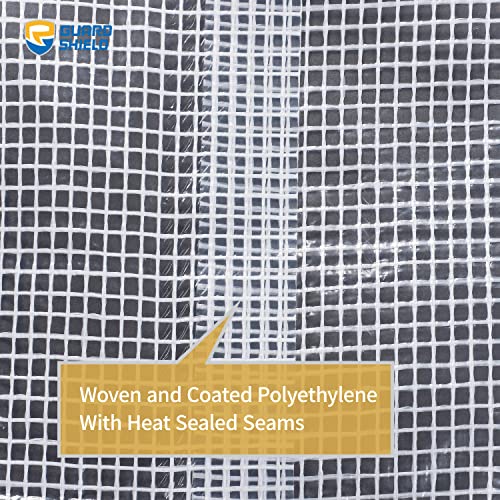 GUARD SHIELD Clear White Tarp Heavy Duty 8x20 Feet Waterproof for Greenhouse Outdoor Garden Poly Cover UV Resistant 3x3 Weave 10mil - color: Clear Leno / White, size: 8x20