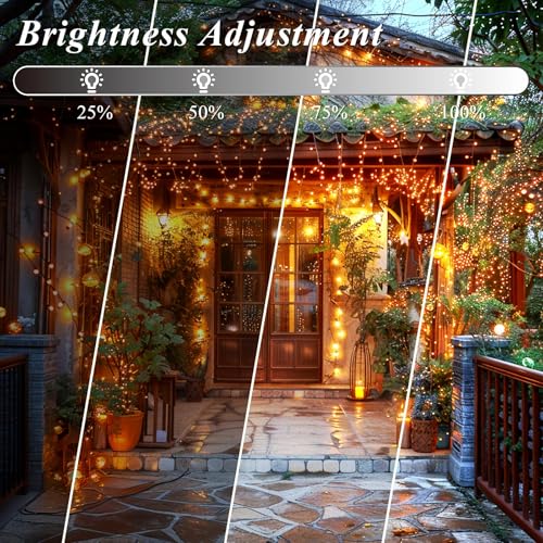 LitHome 164Ft 500 LED Color Changing Christmas String Lights, 35 Colors 9 Modes RGB Christmas Lights with Remote Timer, Dimmable Led String Light Outdoor Plug in, Xmas Tree Light Indoor Party Decor - color: Clear Wire, size: 500LED / 164FT