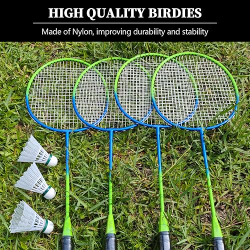 Zdgao Badminton Sets for Backyard, Portable Badminton Net with Tension Adjuster, Badminton Racket Set of 4, 3 Nylon Shuttlecocks, Boundary Line and Carry Bag for Backyard Beach Family Games - color: BLUE&GREEN