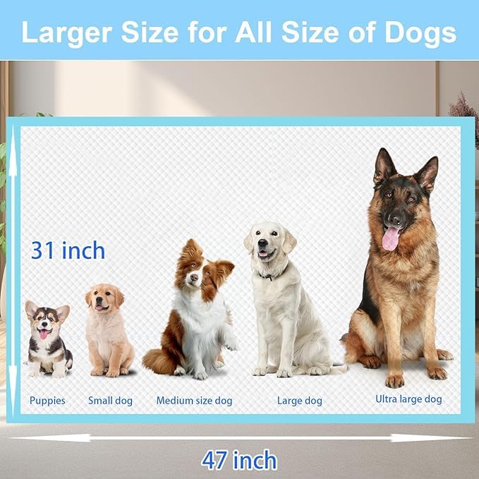 XXXXL Puppy Pee Pads for Dogs 31"x47" 40 Count, Extra Large Dog Pee Pads, Leak-Proof & Super Absorbent Dog Pee Pads, Thicken Disposable Potty Pads Puppy Training Pads for Cats Rabbits - size: 31"x47" 40 Count