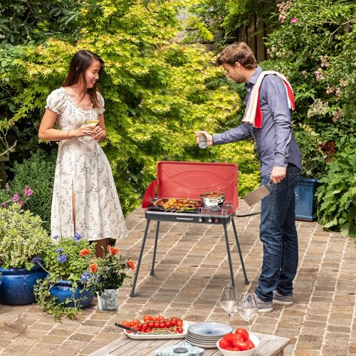 Giantex Portable Propane Grill & Camping Stove, 20,000 BTU Gas Camping Grill Burner, Independent Temperature Control, 3-Sided Wind Guard, Detachable Legs, for BBQ, Tailgating, Outdoor Cooking (Red) - color: Red