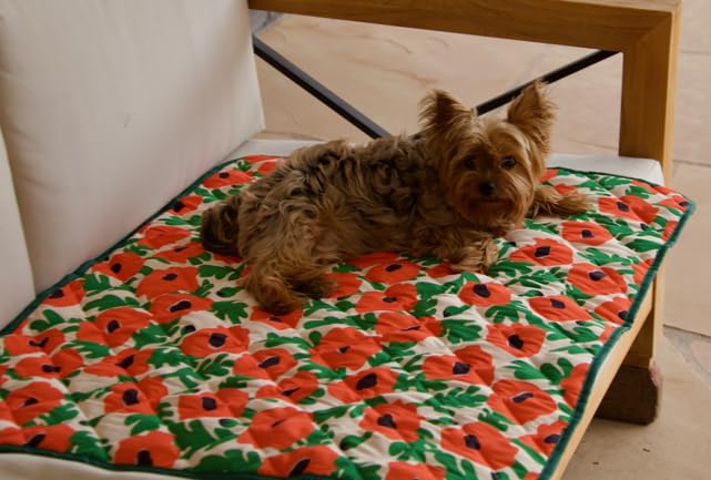 Waterproof Blanket, 29" x 34” - Seat Cover for Dogs and Pets. Ideal for Small and Medium Pet Crate Blankets, Settle mat, Diaper Changing and Playmat for Babies - color: Red and Green