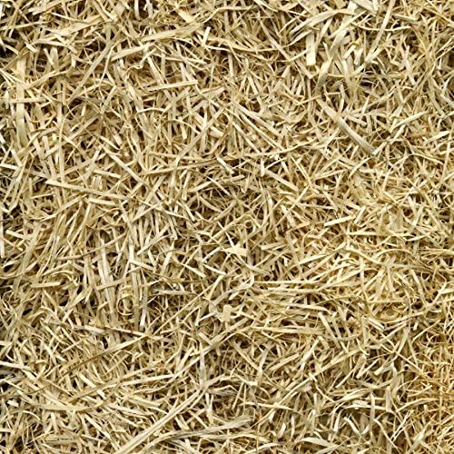 EZ Straw Grass Seed Germination and Erosion Control Blanket, 4 ft x 50 ft, Covers 200 sq ft – Protects and Assists in Grass Seed Growth - size: 1 pack