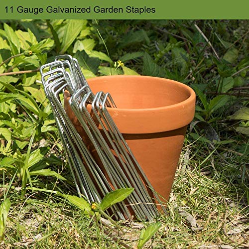 AAGUT Garden Stakes Pins, Landscape Staples 50 Pack 6 Inch 11-Gauge Galvanized Lawn Stake for Dog Fence, Weed Barrier Fabric, Ground Cover, Irrigation Tubing Soaker Hose, Chicken Wire - color: Silver, size: 6'' x 50Pcs-11Ga