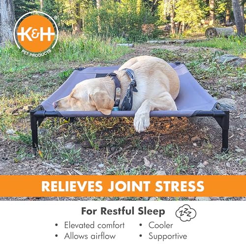 K&H Pet Products Outdoor Elevated Dog Cot, Breathable Cooling Elevated Cot Hammock Pet Bed for Large Dogs, Washable Mesh Cover, Raised Metal Frame, Collapsible, Portable - Large 42 X 30in Gray - color: Gray/Black Mesh, size: Large 42"L x 30"W