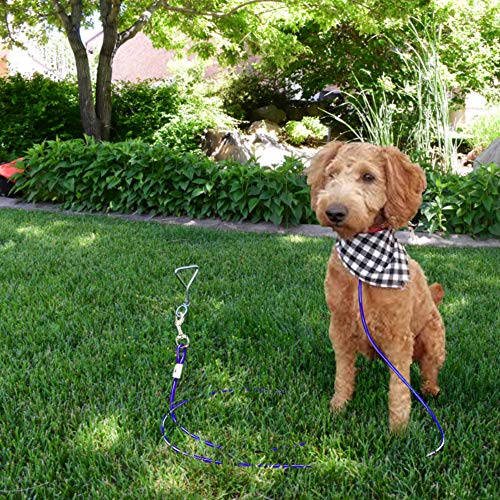 AceCamp Corkscrew Steel Peg, Spiral Dog Tie Out Leash Stake Anchor for Securing a Backyard, Outdoor, Tents, Camping, Hiking, Backpacking, Fishing, Hunting
