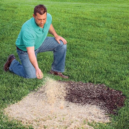 EZ Straw Seeding Mulch with Tack - Biodegradable Processed Straw, 1 cu. ft. Bale (Covers 250 sq. ft.) - size: 1 CU FT BALE