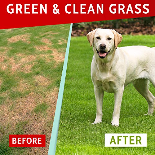 PAWFECTCHEW Dog Pee Grass Helper - Grass Treatment for Dog Urine - Dog Urine Neutralizer for Grass Burn Spots - Dog Pee Lawn Repair Treats with Probiotics - Made in USA - 120 Chews - size: 120 Chews