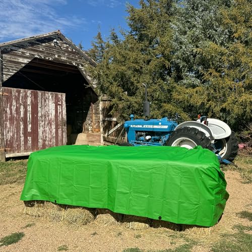 RENEGADE Industrial Tarp 10x10 ft Green – Heavy Duty, Waterproof, UV-Resistant, PFAS-Free – Square Tarpaulin for Campsites, Roofing, Construction & Outdoor Shelter - color: Green, size: 10X10