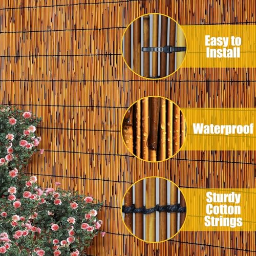 2 Pack Natural Reed Fencing 6FT X 6.6FT Reed Fence 6FT High Balcony Reed Fence Privacy Reed Screen for Outdoor Backyard Patio(Brown) - size: 2 Pack 6FT×6.6FT