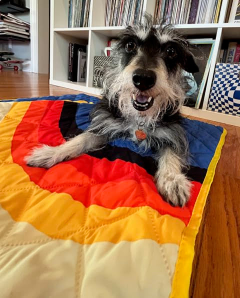 Waterproof Blanket, 29" x 34” - Seat Cover for Dogs and Pets. Ideal for Small and Medium Pet Crate Blankets, Settle mat, Diaper Changing and Playmat for Babies - color: Blue and Yellow
