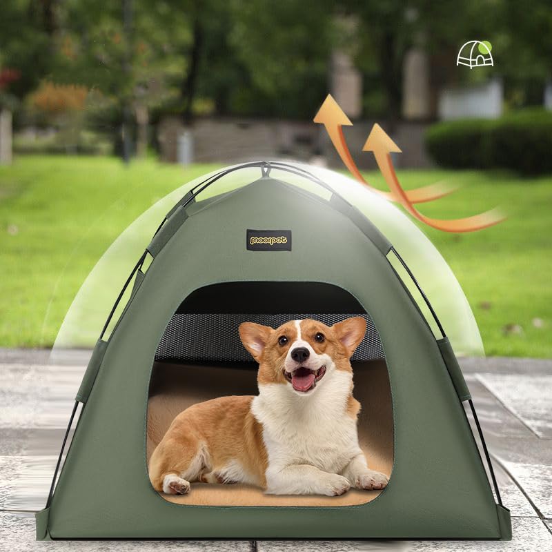 Pet Tent for Cats and Dogs - Portable & Foldable Indoor/Outdoor Travel Puppy Kitty, Sun Shade - Lightweight for Camping, Beach, Park, Larger-Green