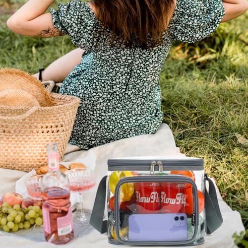 FlowFly Insulated Reusable Lunch Bag Adult Large Lunch Box for Women and Men with Adjustable Shoulder Strap,Front Zipper Pocket and Dual Large Mesh Side Pockets,Clear#Grey - color: Clear#Grey