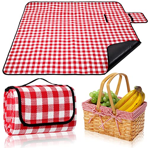 Patelai Wicker Picnic Basket Natural Hand Woven Basket with Double Folding Handles, Willow Hamper Baskets with Blanket for Outdoor Picnic Summer Spring Camp Family(Red and White Grid) - color: Red and White Grid