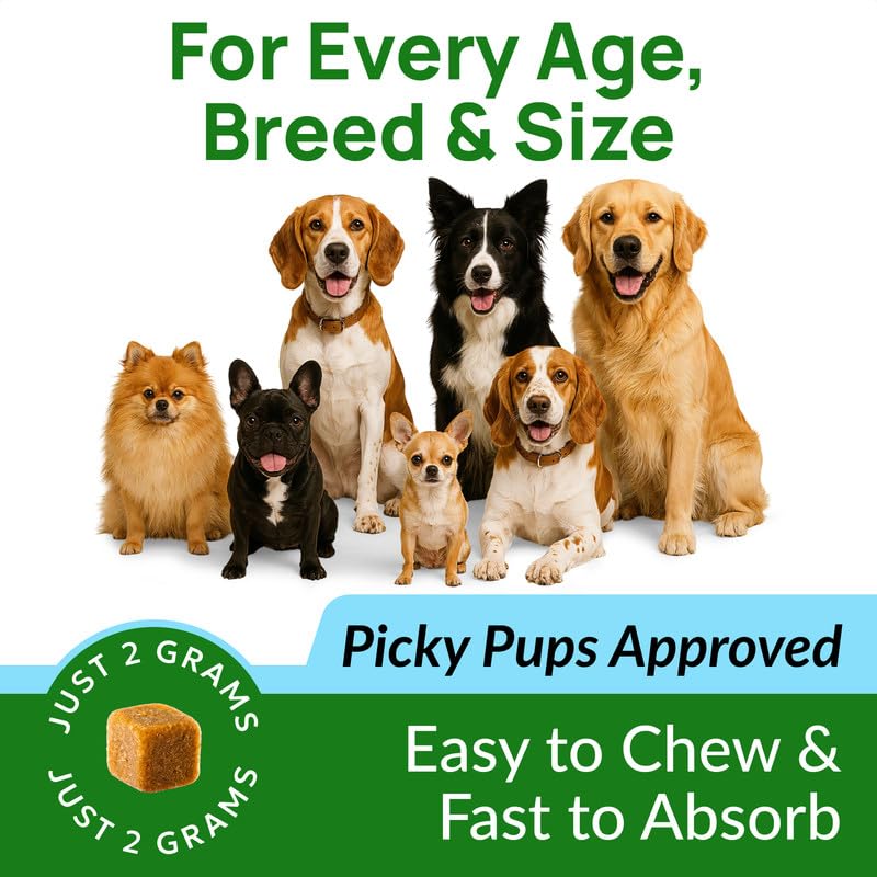 PAWFECTCHEW Dog Pee Grass Chews - Grass Treatment for Pet Urine - Neutralizer for Green Grass Burn Urine Spots - Green Lawn Chews for Dogs with Probiotics - Made in USA (120Ct) - size: 120Ct