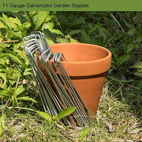 AAGUT Garden Stakes Pins, Landscape Staples 200 Pack 6 Inch 11-Gauge Galvanized Lawn Stake for Dog Fence, Weed Barrier Fabric, Ground Cover, Irrigation Tubing Soaker Hose, Chicken Wire - color: Silver, size: 6'' x 200Pcs-11Ga