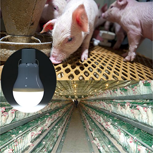Solar Powered Lamp Portable Led Bulb Lights Solar Energy Panel Led Lighting for Camp Tent Night Fishing Emergency Lights Flash 350LM(Pack of 1) - color: Pack of 1