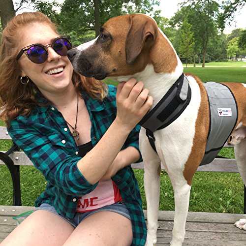 CoolerDog Dog Cooling Vest & Cooling Collar – Ice Vest for Hot Weather Heat Relief, Re-Freezable Pure Water Inserts (Medium 22”–27” Girth) - size: M