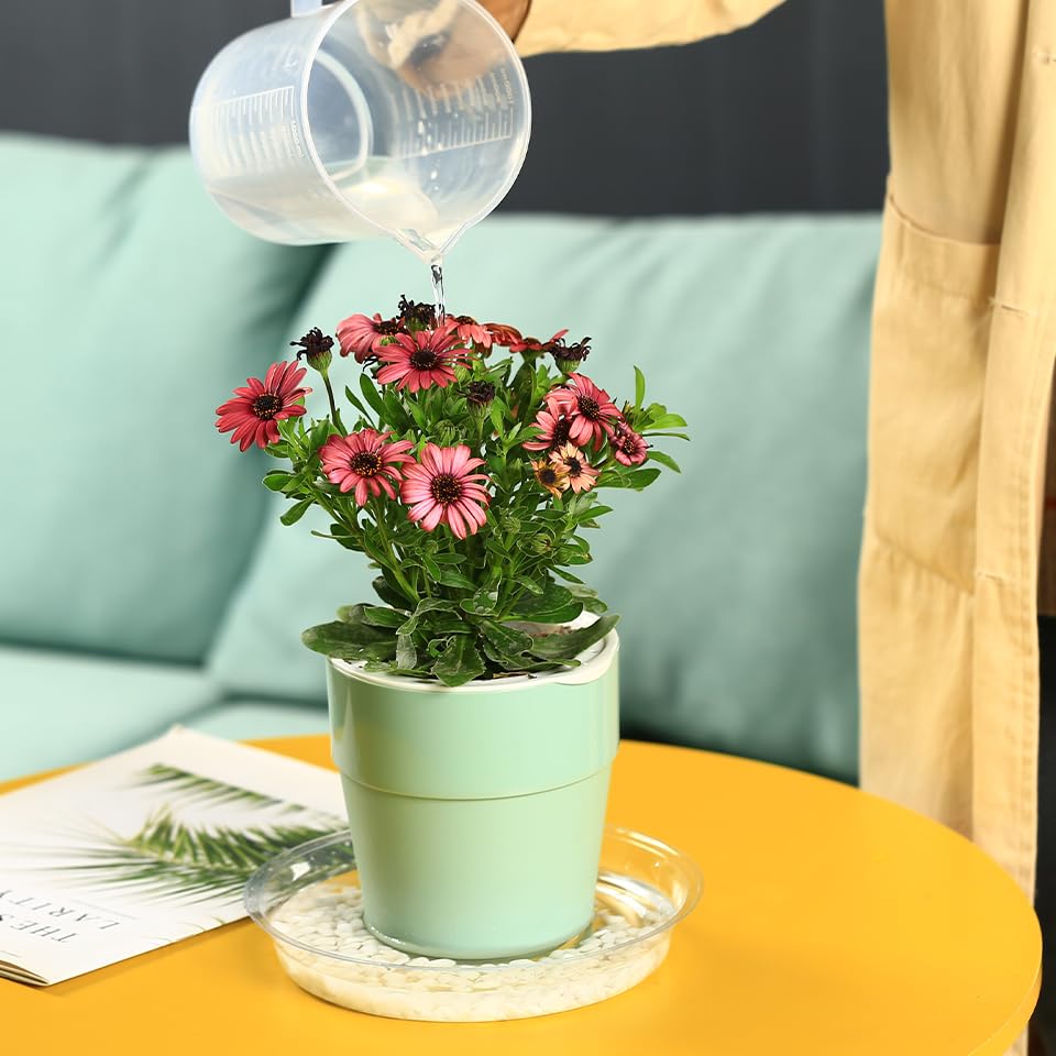 30 Packs 16" Extra-Large Clear Plant Saucers for Indoor Outdoor Use Heavy Duty Plastic Plant Trays for Planter Bulk Flower Pot Drip Trays to Catch Water, 4 to 20 Inch - size: 16 inches