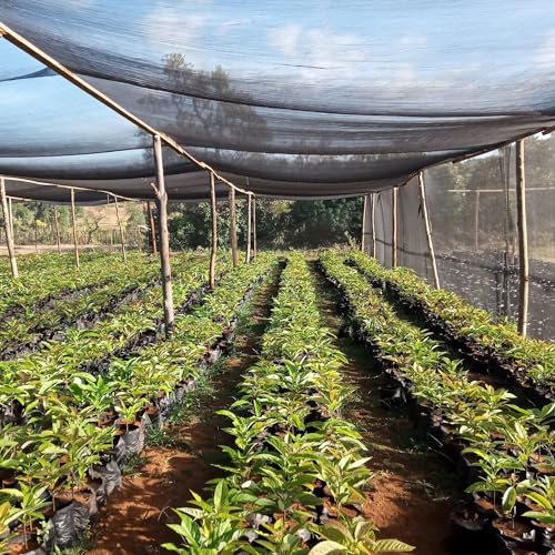 40% Shade Cloth for Plants, 8X15Ft Greenhouse Shade Cloth, Plant Shade Cover from Sun, Outdoor Mesh Tarp for Garden, Vegetables, Flowers, Potted Plants Heat Protection. - size: 8×15FT
